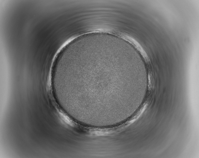 X0000087640780200705101047