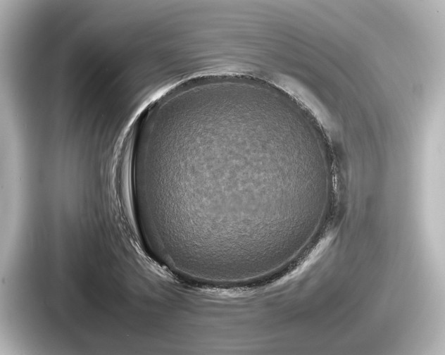 X0000087640781200705101047