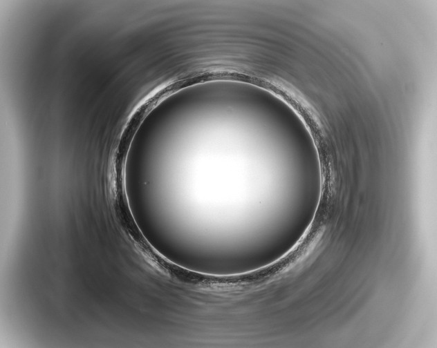 X0000087640782200705101047