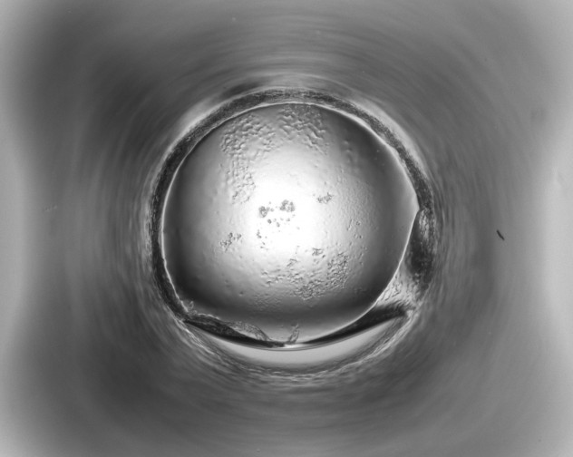 X0000087640783200705101047