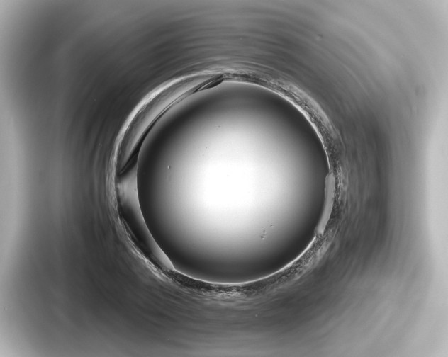 X0000087640784200705101047