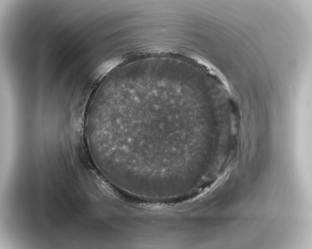 X0000087640785200705101047