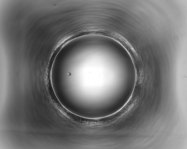 X0000087640786200705101047