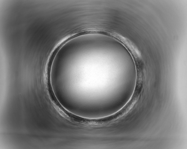 X0000087640787200705101046