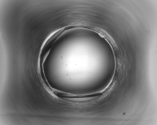 X0000087640788200705101046