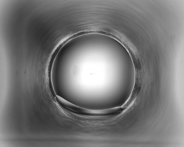 X0000087640789200705101046