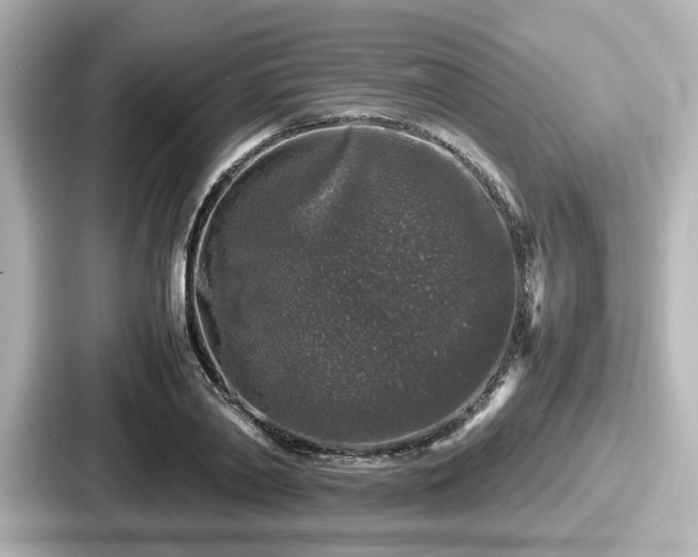 X0000087640790200705101046