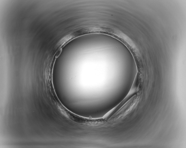 X0000087640793200705101046