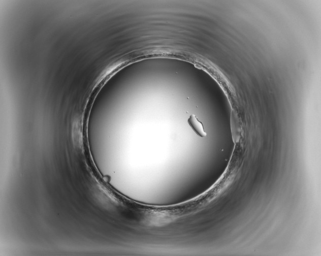 X0000087640794200705101046