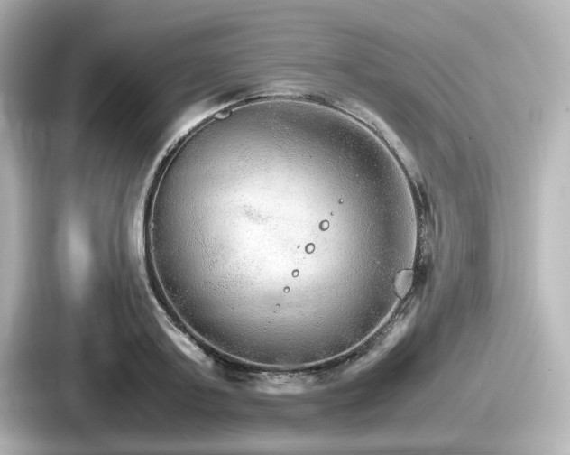 X0000087640795200705101046