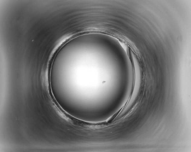 X0000087640796200705101046