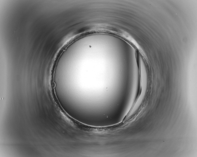 X0000087640799200705101046