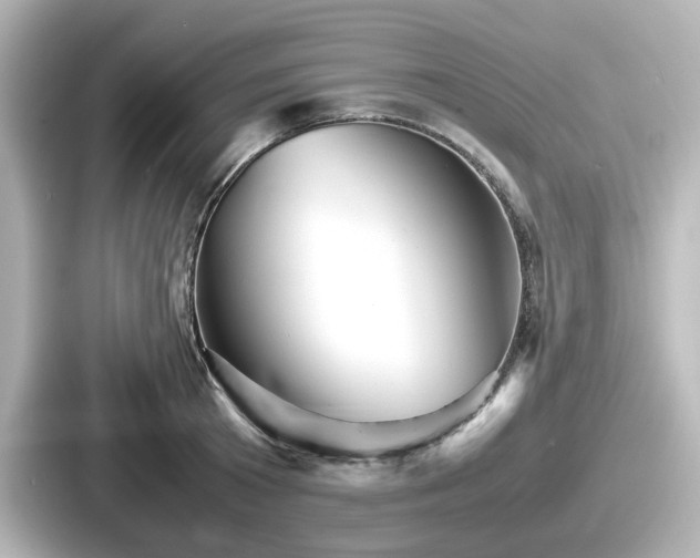 X0000087640801200705101046