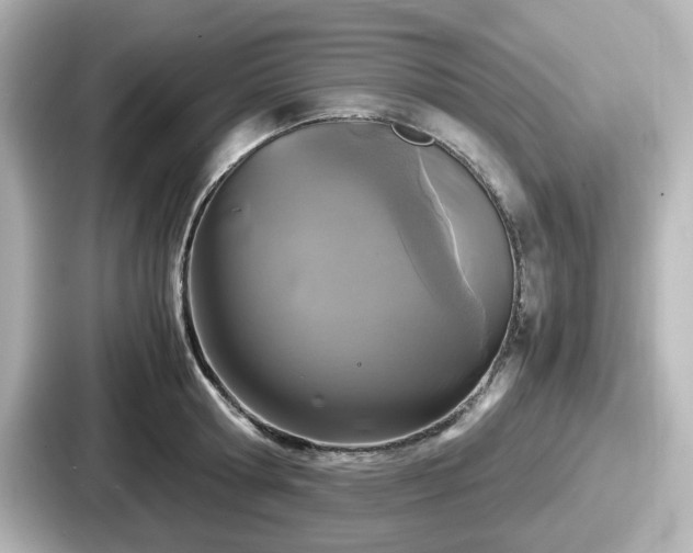 X0000087640802200705101046