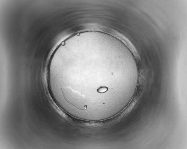 X0000087640804200705101046