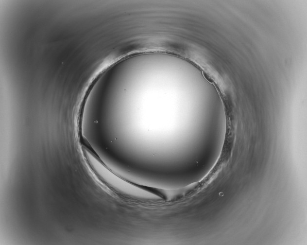 X0000087640805200705101046