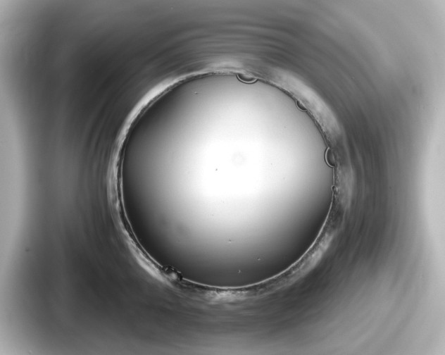 X0000087640808200705101046