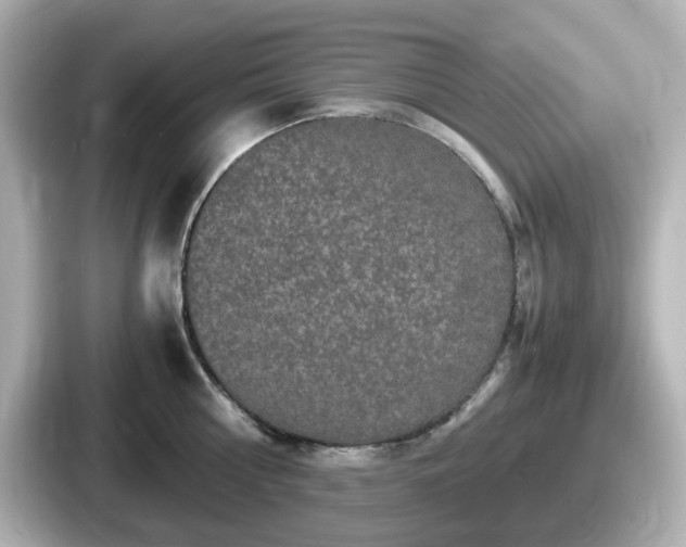 X0000087640810200705101046