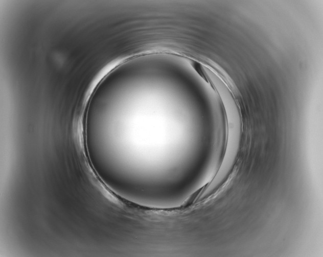 X0000087640812200705101046