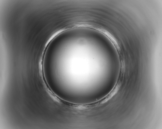 X0000087640814200705101046