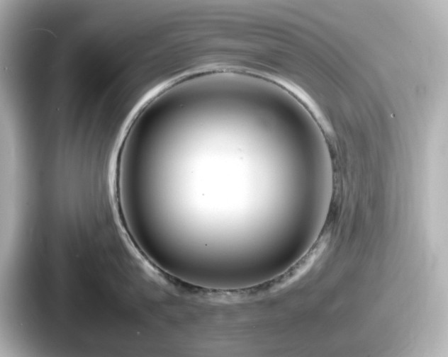 X0000087640815200705101046