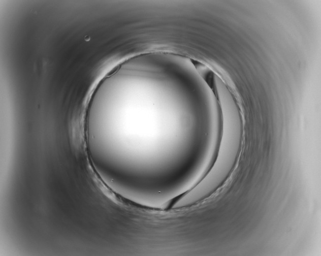 X0000087640816200705101046