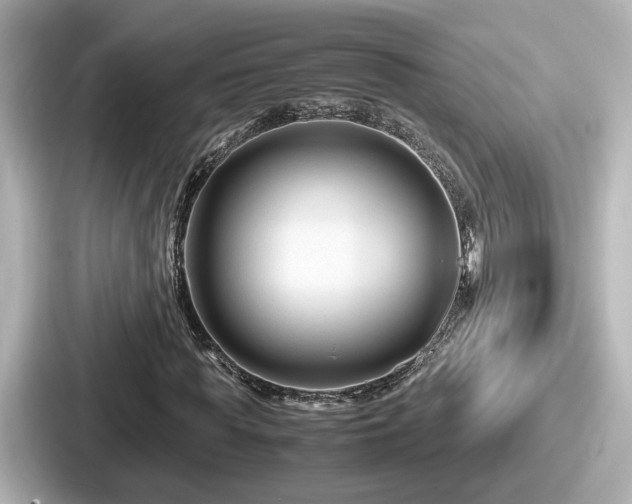 X0000087640819200705101046