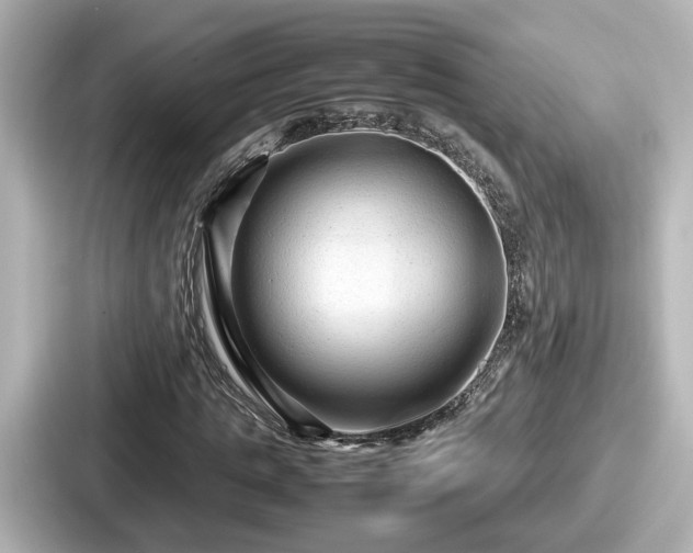 X0000087640821200705101046