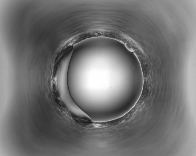 X0000087640822200705101046