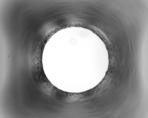 X0000087640824200705101046