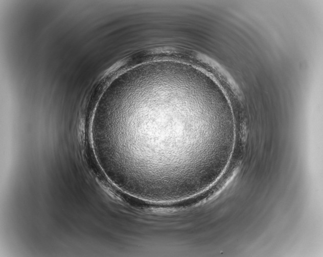 X0000087640825200705101046