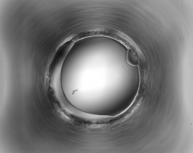 X0000087640826200705101046