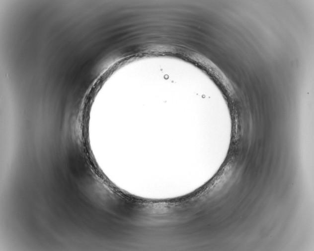 X0000087640828200705101046