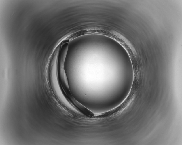 X0000087640829200705101046