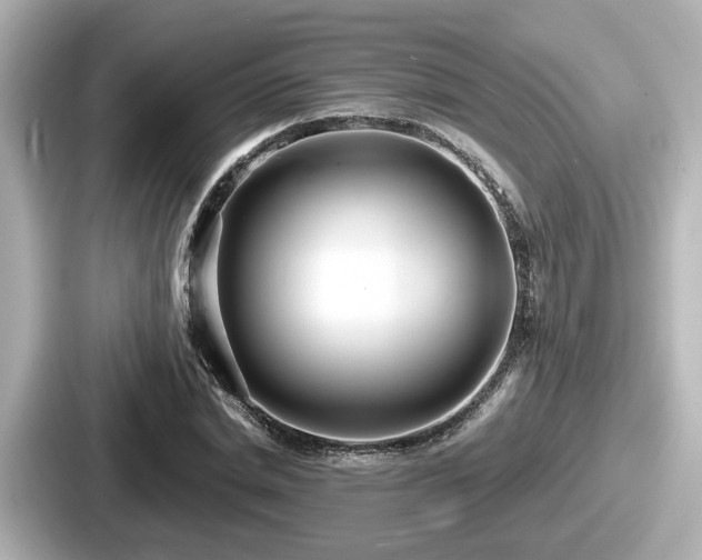 X0000087640830200705101046