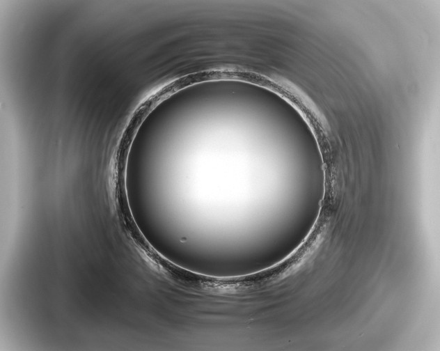 X0000087640831200705101046