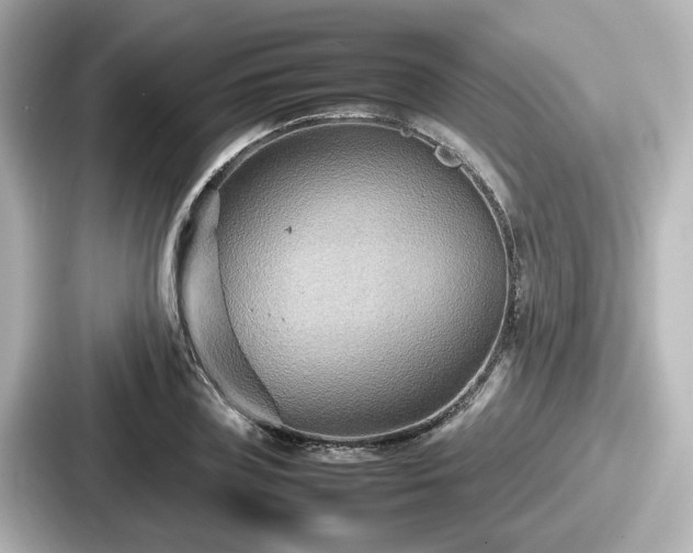 X0000087640835200705101046