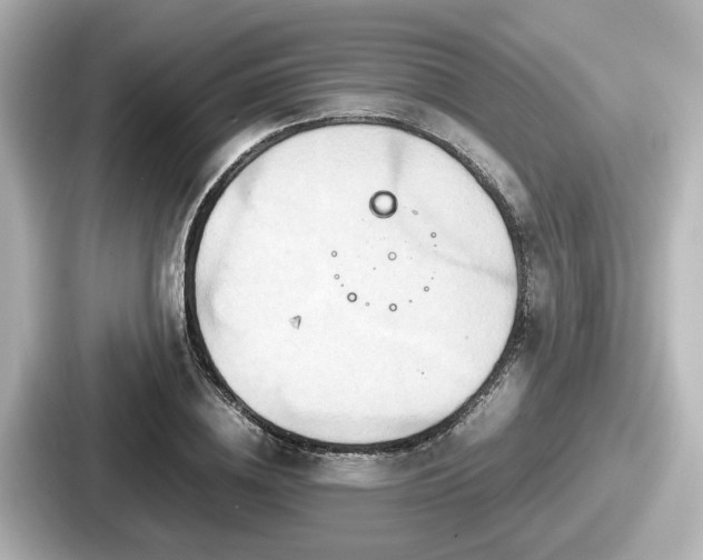 X0000087640836200705101046