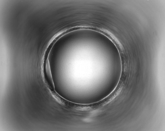 X0000087640837200705101046