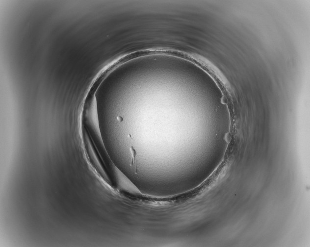 X0000087640839200705101046