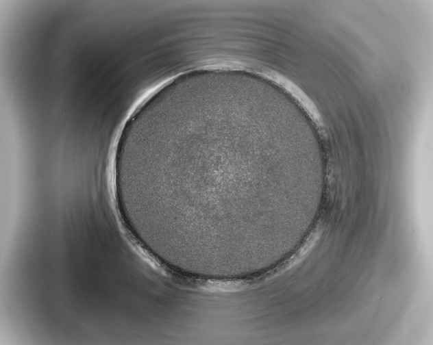 X0000087640840200705101046