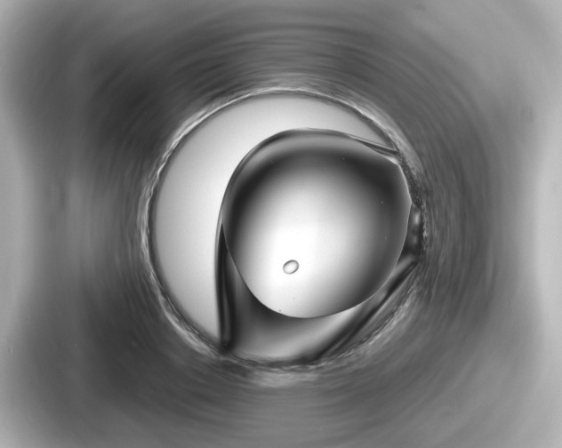 X0000087640842200705101046