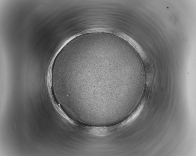 X0000087640844200705101046