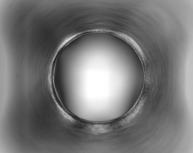 X0000087640847200705101046