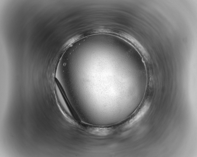 X0000087640849200705101046