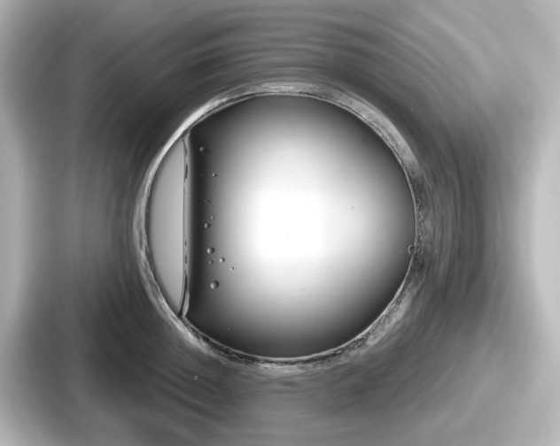 X0000087640852200705101046