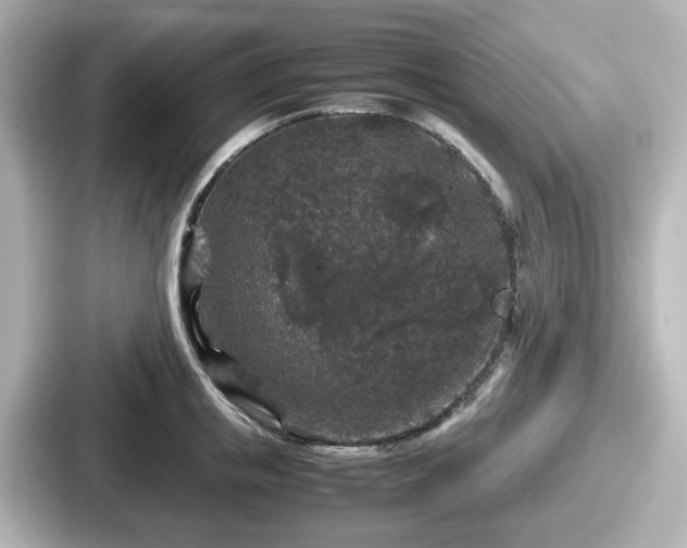 X0000087640853200705101046