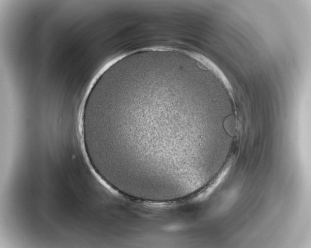 X0000087640855200705101046