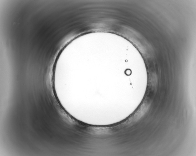 X0000087640856200705101046