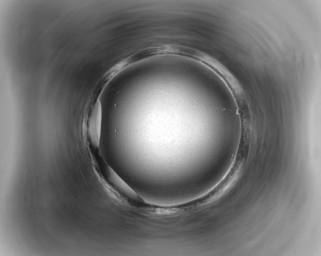 X0000087640857200705101046